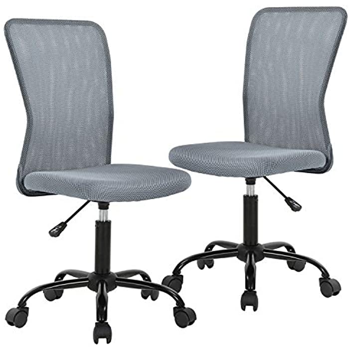 Ergonomic Office Chair Desk Chair Mesh Computer Chair with Lumbar Support No Arms Swivel Rolling Executive Chair for Back Pain 2 Pack (Grey)