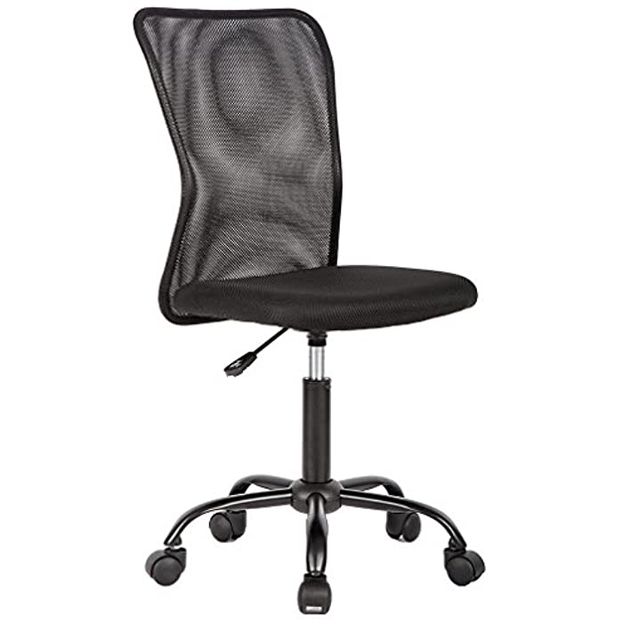 Office Chair Cheap Desk Chair Mesh Computer Chair with Lumbar Support No Arms Swivel Rolling Executive Chair for Back Pain,Black 1 Pack