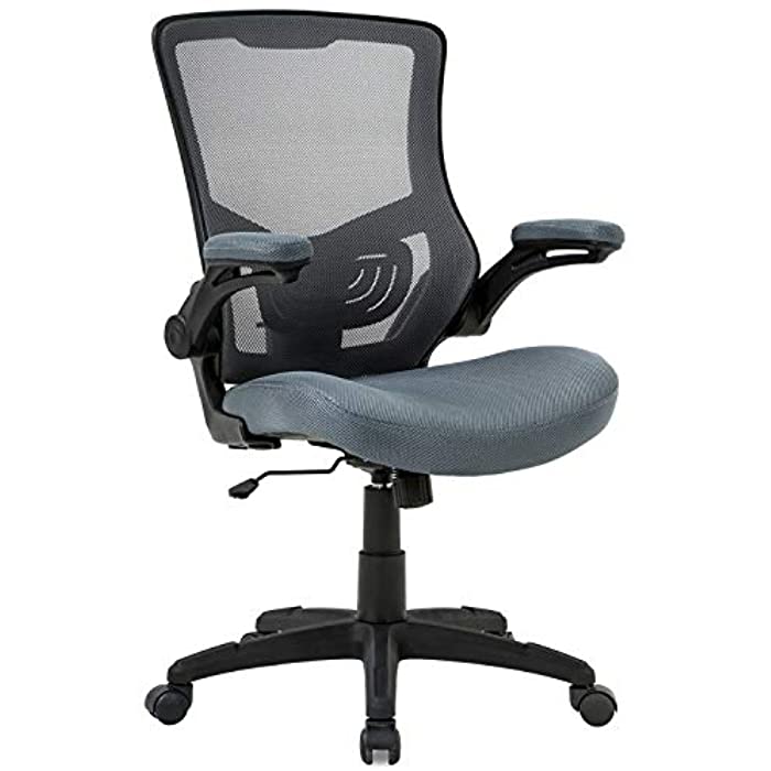 Office Chair Desk Chair Computer Chair with Lumbar Support Flip Up Arms Modern Task Adjustable Swivel Rolling Executive Mesh Ergonomic Chair for Back Pain, Grey