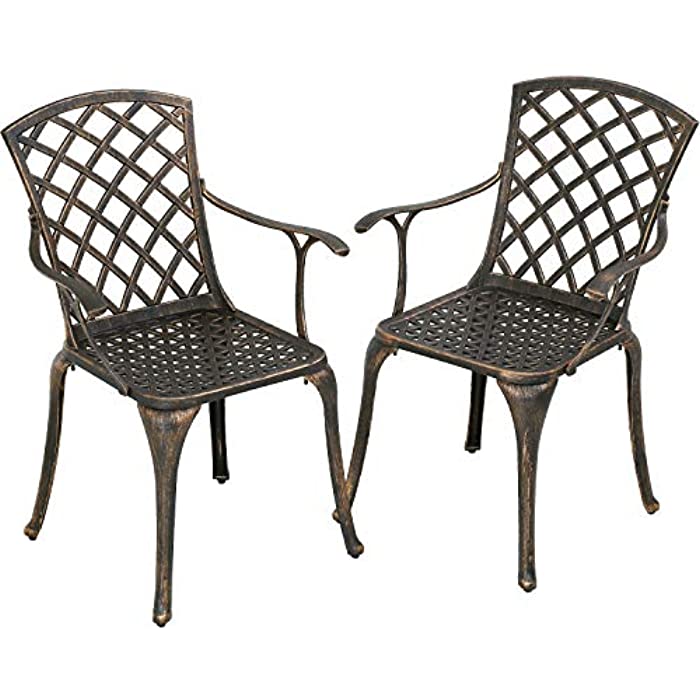 Patio Chairs Dining Chairs Set of 2 Outdoor Chair Wrought Iron Patio Furniture Patio Furniture Chat Set Weather Resistant