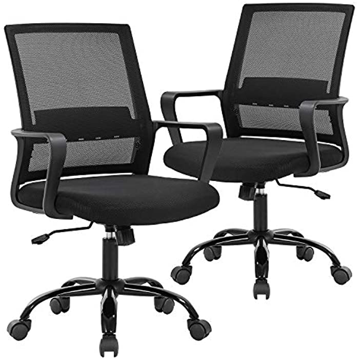 Office Chair Desk Chair Computer Chair Swivel Rolling Executive Lumbar Support Task Mesh Chair Metal Base for Women&Men, 2 Pack