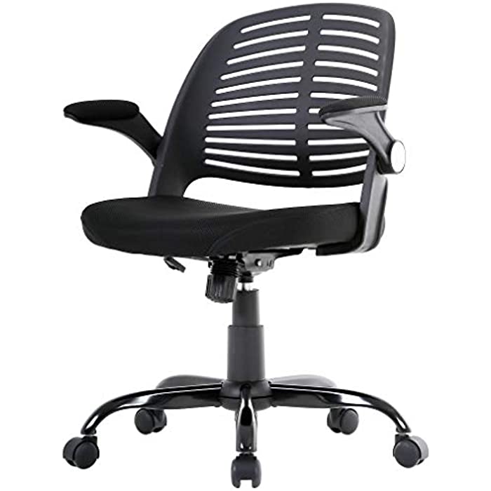 Office Chair Desk Chair Computer Chair with Lumbar Support Flip Up Arms Executive Rolling Swivel Modern Cute Mesh Task Ergonomic Chair for Back Pain,Black