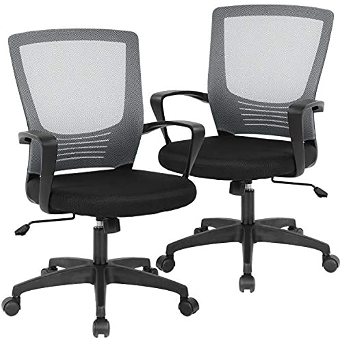 Office Chair Desk Chair Computer Chair Executive Rolling Swivel Chair Lumbar Support Task Mesh Chair for Back Pain, 2 Pack